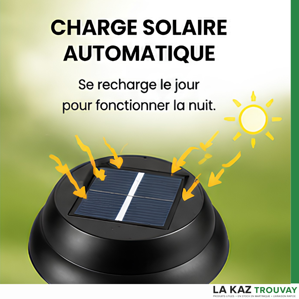 Lampe Solaire Anti-Moustiques – Profitez Enfin de Vos Soirées Sans Insectes